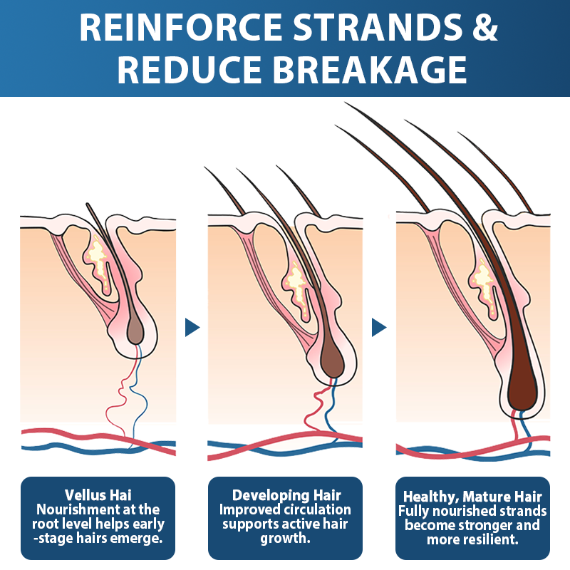 🇬🇧👨‍⚕️Developed by Trichologists: 𝐑𝐨𝐥𝐢𝐦𝐞𝐲® 𝐒𝐓𝐄𝐌 𝐂𝐞𝐥𝐥 𝐇𝐚𝐢𝐫 𝐂𝐲𝐜𝐥𝐞 𝐑𝐨𝐥𝐥𝐞𝐫 – Instantly Stops Hair Loss & Promotes Real Regrowth (🔥LAST DAY 80% OFF)